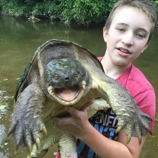 Ben-with-Turtle | Veritas Collegiate Academy