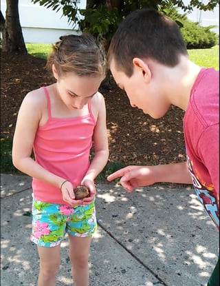 Summer-play-classical-way | Veritas Collegiate Academy Summer-play-classical-way | Veritas Collegiate Academy